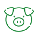 htq : bao bì đựng thức ăn gia súc